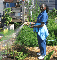Volunteer Program