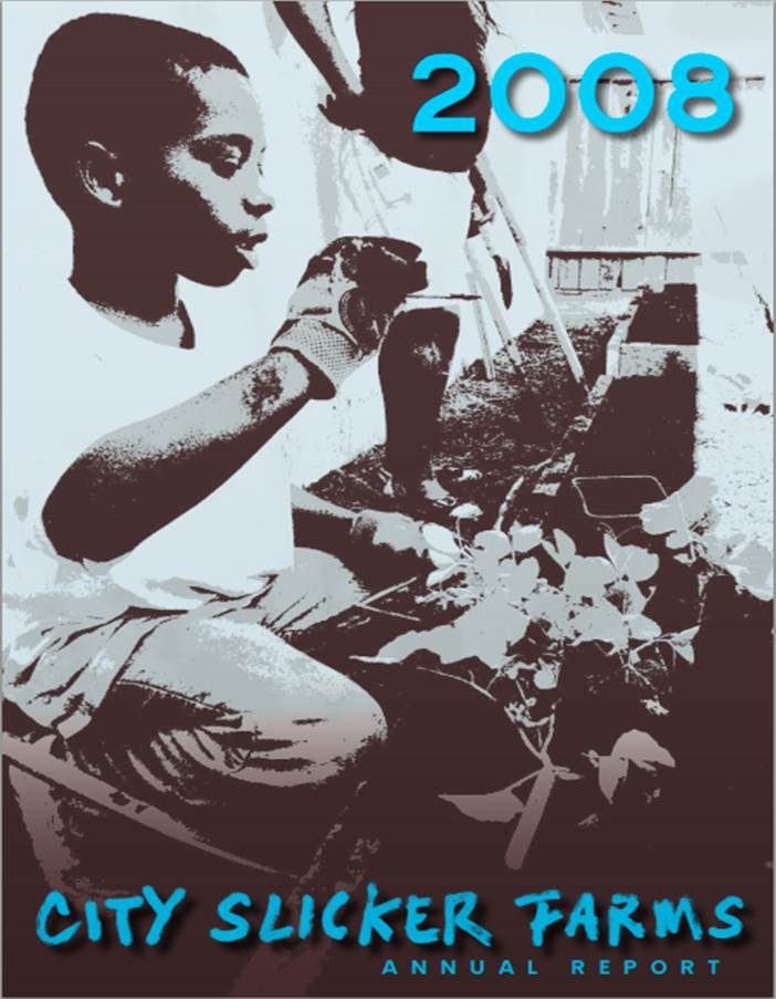 2008 Annual Report 2008 Annual Report