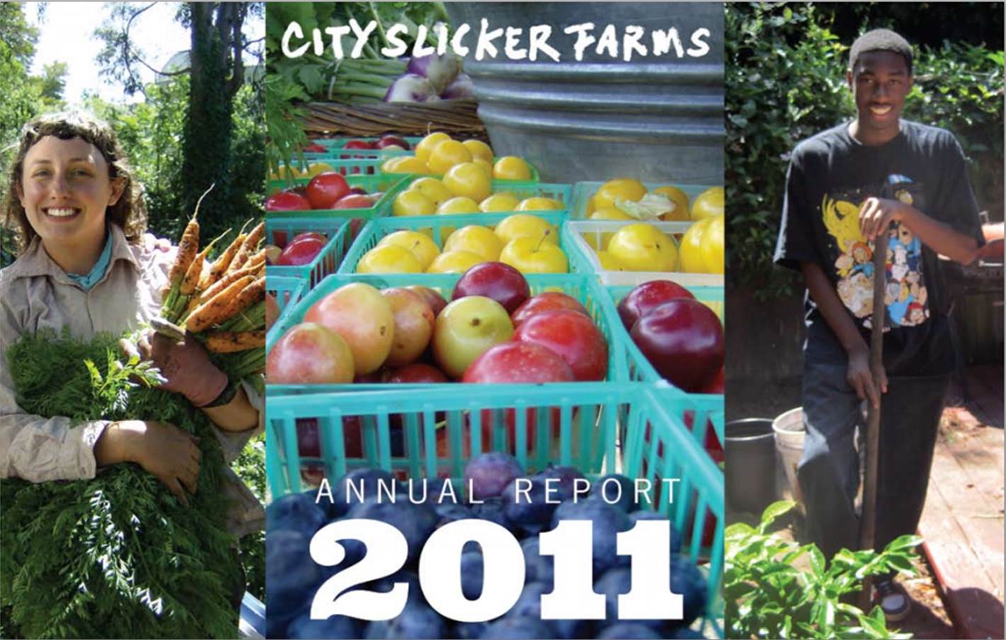 2011 Annual Report