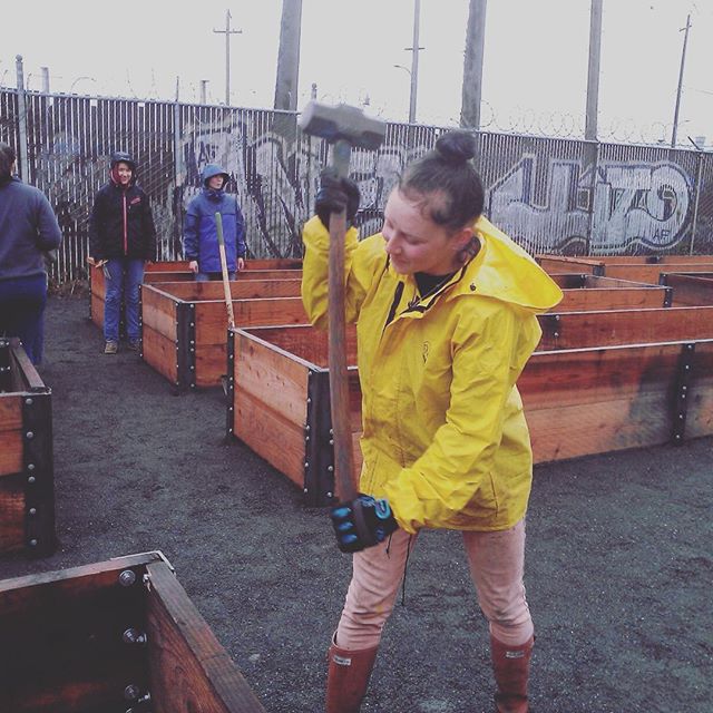 Hammering the planter boxes into the ground Hammering the planter boxes into the ground