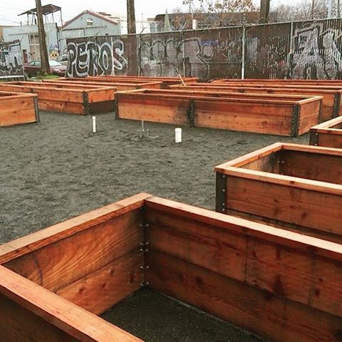 The completed 14-box community garden The completed 14-box community garden
