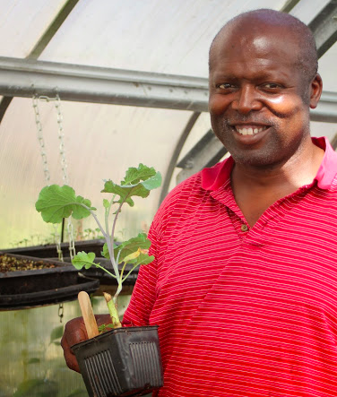 Bob Baty, a volunteer at the City Slicker Farms Greenhouse