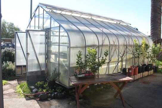 Greenhouse