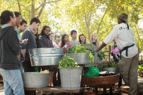 Joseph discusses the farmstand with a tour group