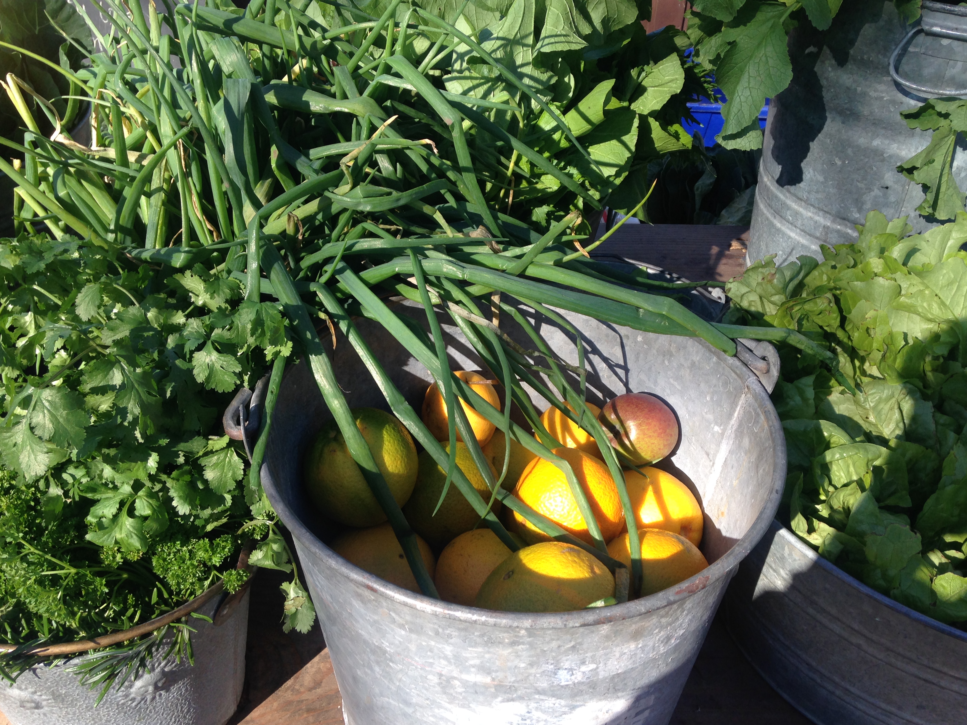 Lemons from Erica Marcus Erica Marcus' lemons at the first farmstand of 2015