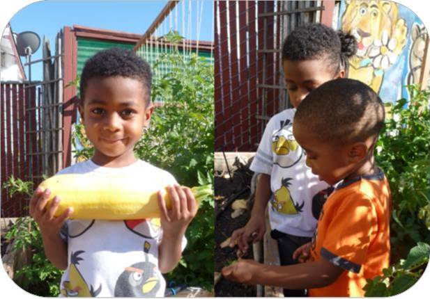 Jamil and Nelajah picking squash from their garden Jamil and Nelajah picking squash from their garden