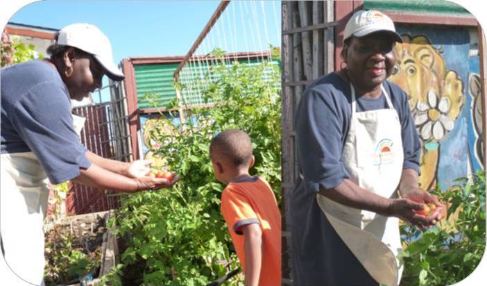 Muriel and Nelajah picking tomatoes Muriel and Nelajah