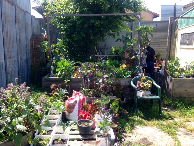 Edith's backyard garden