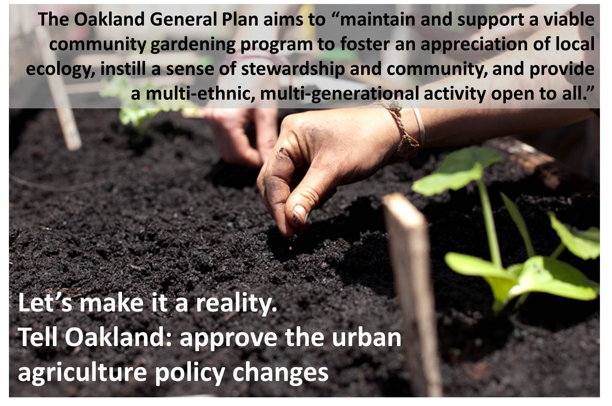 Tell Oakland: Approve the Urban Agriculture Policy Changes