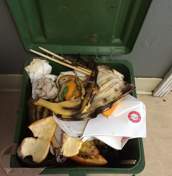 Compost bin courtesy of StopWaste Instagram Compost bin courtesy of StopWaste Instagram
